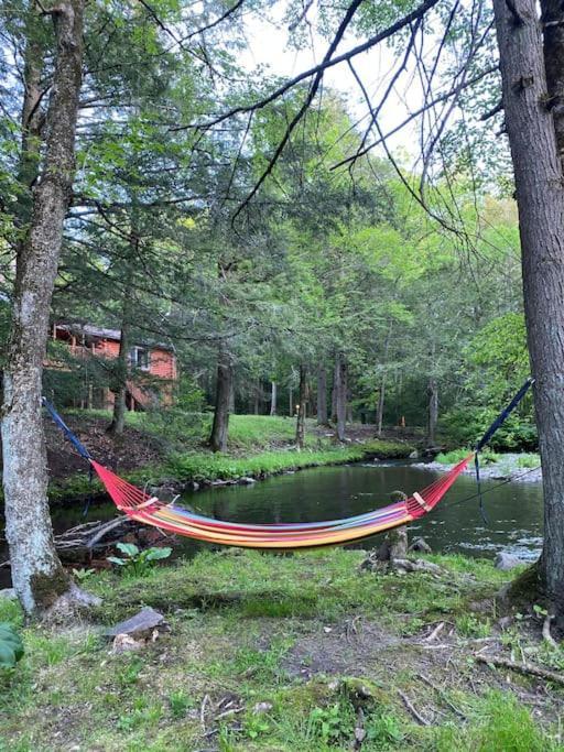 Peaceful Gateway To Island Creek Cottage East Stroudsburg Esterno foto