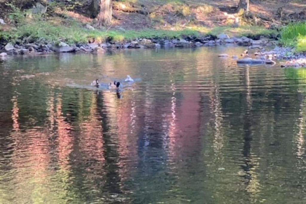 Peaceful Gateway To Island Creek Cottage East Stroudsburg Esterno foto