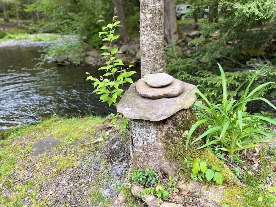 Peaceful Gateway To Island Creek Cottage East Stroudsburg Esterno foto